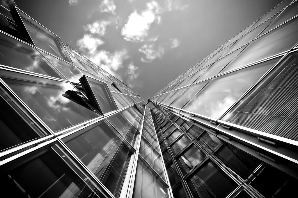 Future trends in environmental law