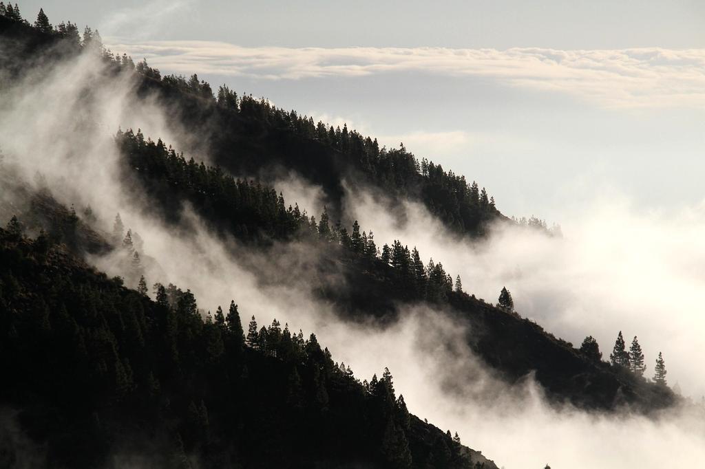 Natural landscape with legal elements