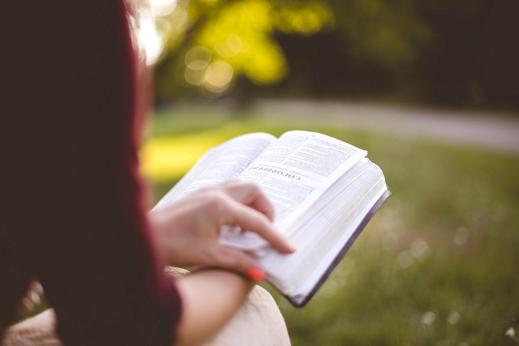 Books and digital resources on environmental law
